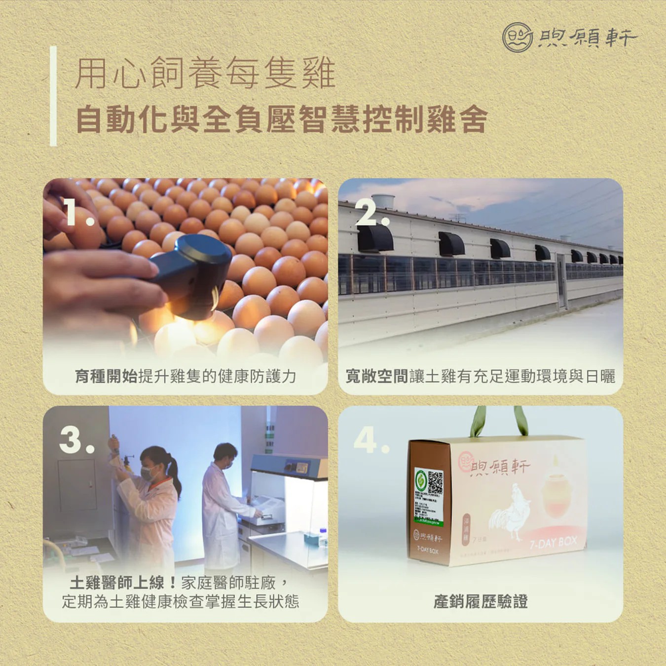 【煦願軒】淬浦雞原味常溫7日組 (原味滴雞精)