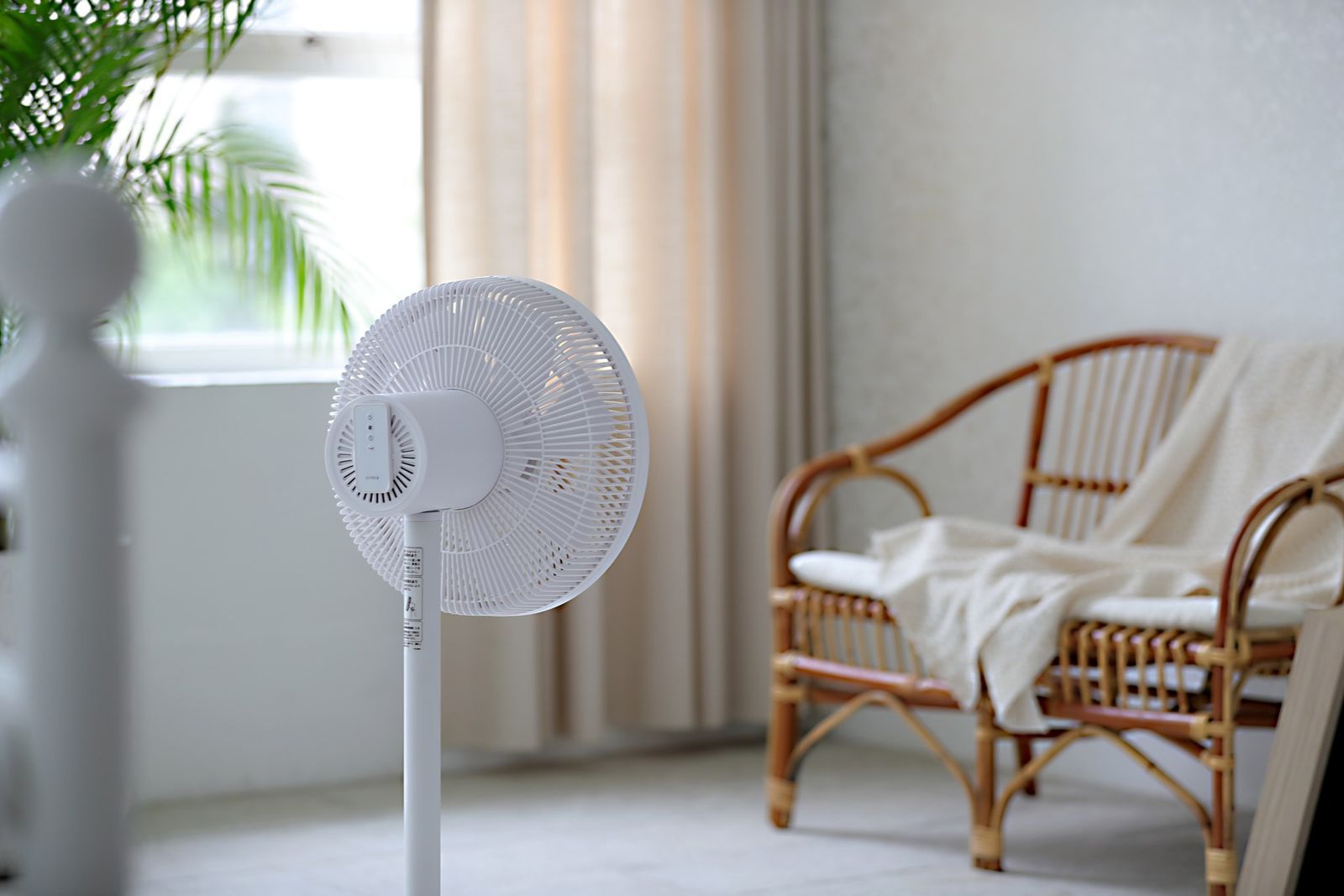夏天的必備家電當然要選最好看的！除了Dyson以外還有「這九款造型風扇」好看又好用！