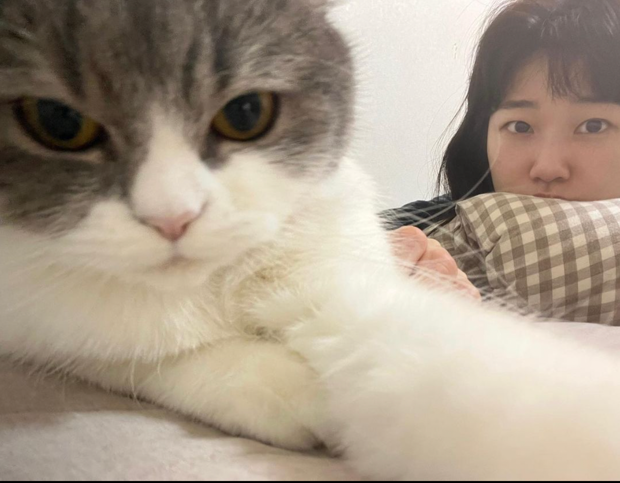 河允景的Instagram可以看出他對於貓咪的喜愛。